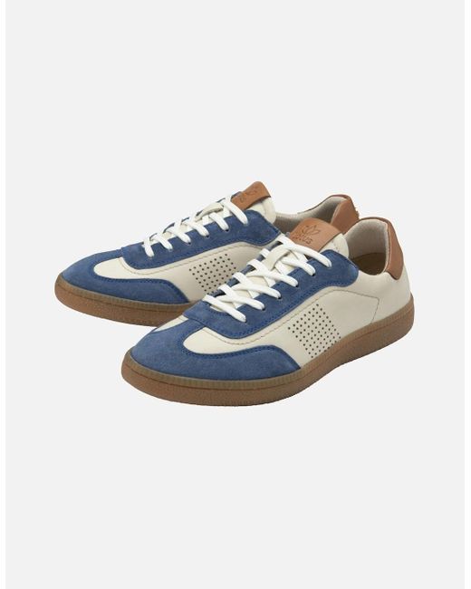 Lotus Blue Frapporta Trainers