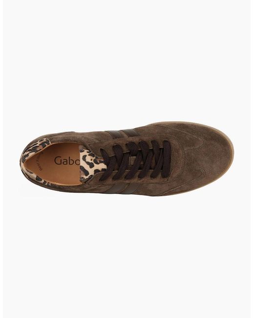 Gabor Brown West Trainers