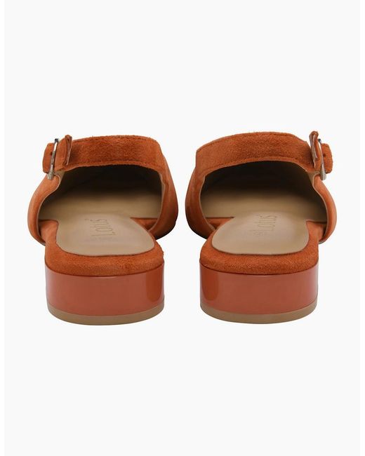 Lotus Brown Morton Pumps