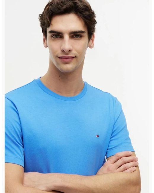 Tommy Hilfiger Blue Flag Embroidery Crew Neck T-Shirt C30 Spell for men