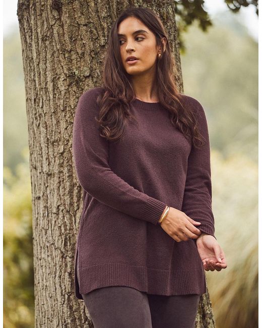 Live Unlimited London Purple Chocolate Crew Neck Longline Knit Jumper