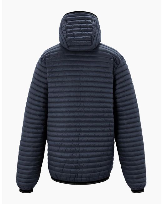 Regatta Blue Rigain Padded Jacket for men