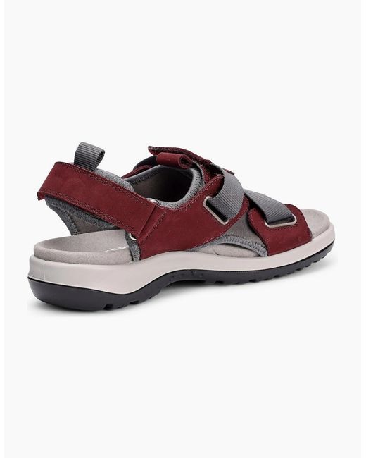 Hotter Red Pursue Sandals