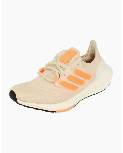 Adidas Natural 22 Sneakers Gx6666