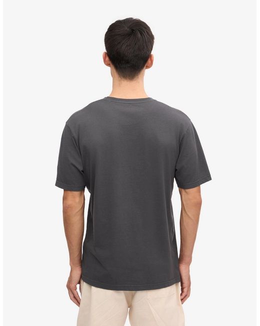 COLORFUL STANDARD Gray Classic Organic T-Shirt for men