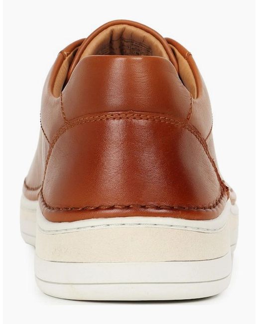 Josef Seibel Brown Cleve 02 Trainers for men