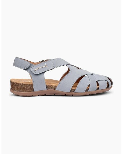 Hotter Gray Carpa Sandals