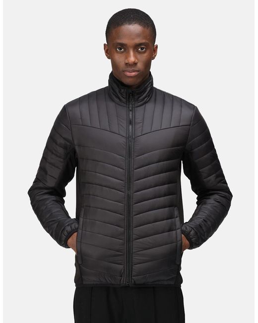 Regatta Blue Professional Hybrid Jacket for men