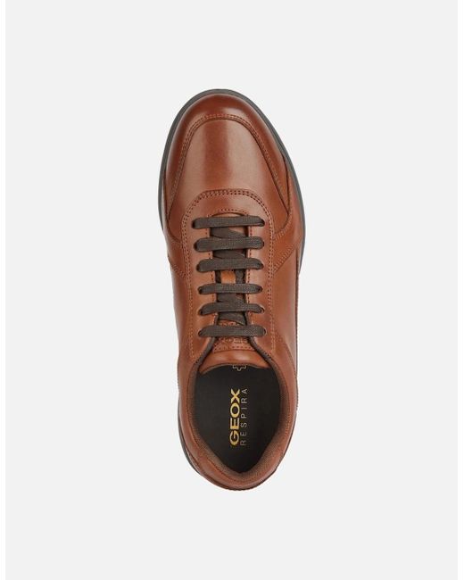 Geox Brown U Spherica Ec12 Shoes for men