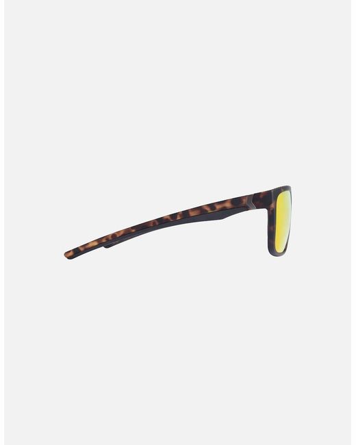 Trespass Brown Brinley Sunglasses for men