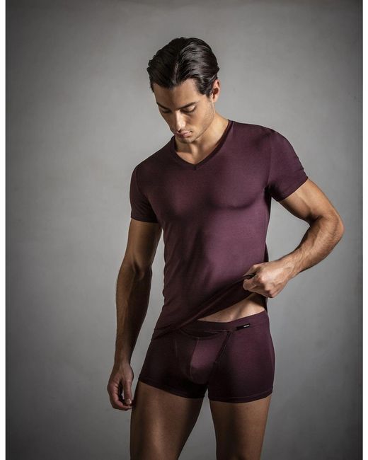 Hom Purple Tencel Soft V-Neck T-Shirt, Burgundy for men