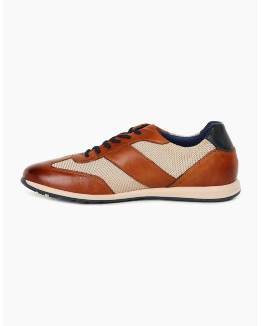 Bugatti Brown Truman Trainers for men