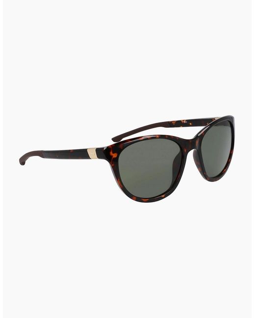 Nike Brown Hero S Cat Eye Sunglasses for men