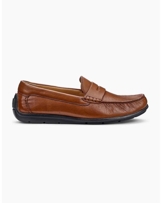 Hotter Brown Ewan Loafers for men
