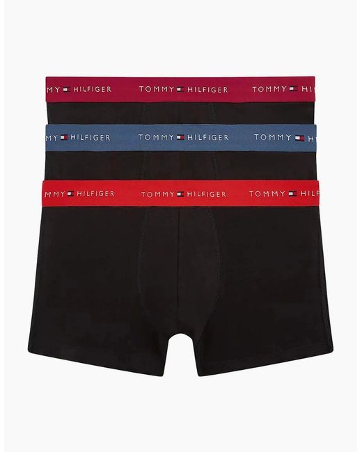 Tommy Hilfiger Blue 3-Pack Signature Cotton Boxer Trunks, W/ Burgundy for men