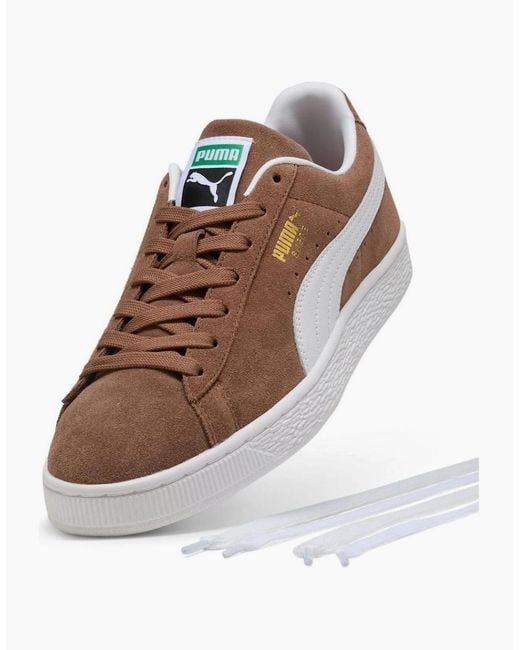 PUMA Brown Classic Suede Haute Coffee/ Trainers
