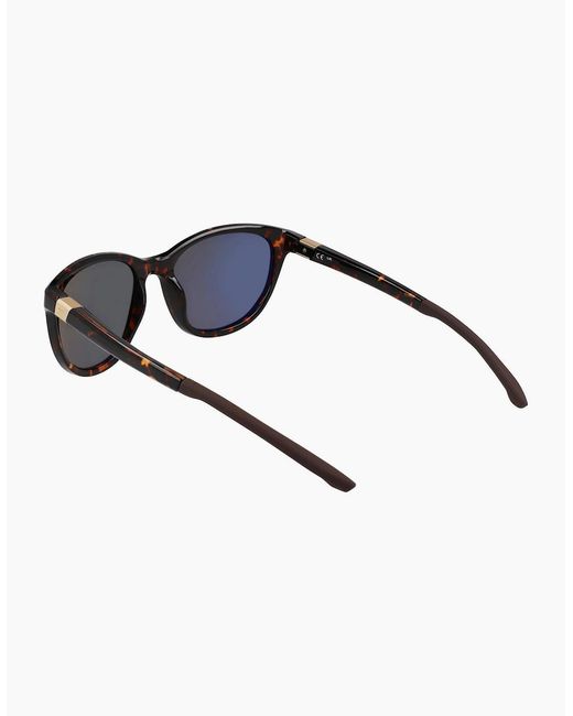 Nike Brown Hero S Cat Eye Sunglasses for men