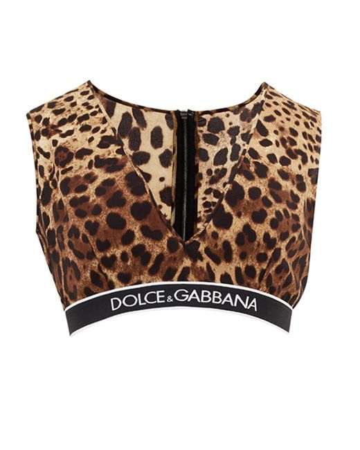 Top Cropped Maculato Con Fascia di Dolce & Gabbana in Brown