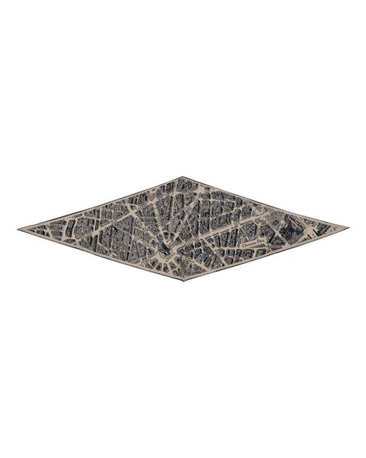 Dior Gray Plan De Paris Scarf