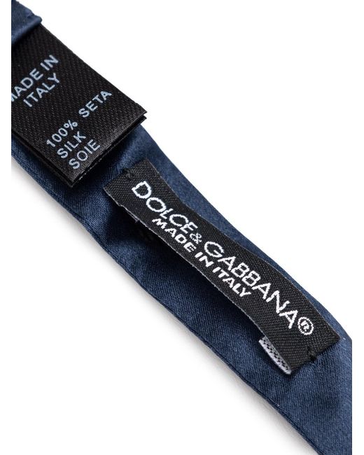 Dolce & Gabbana Blue Papillon for men
