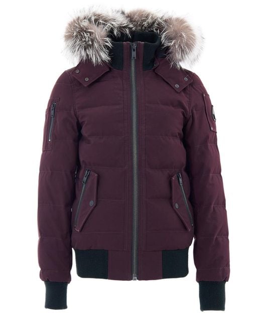 Moose Knuckles Purple Piumino Bomber