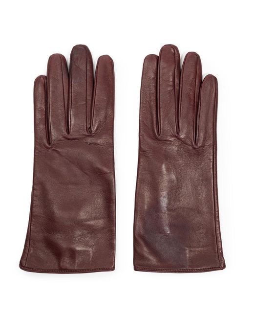 Guanti Corti di Dolce & Gabbana in Brown