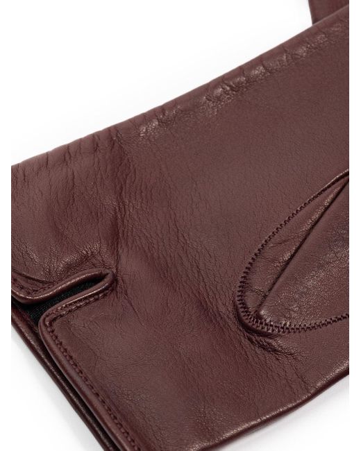 Guanti Corti di Dolce & Gabbana in Brown