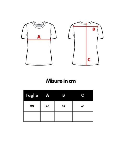 DSquared² Gray Mélange T-Shirt With Icon Logo