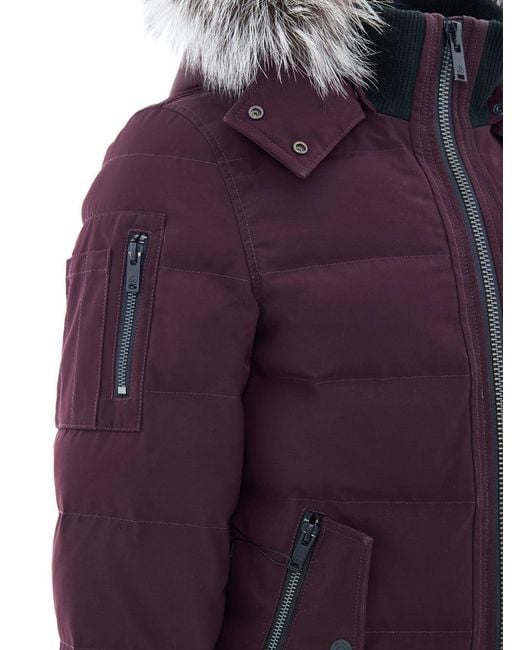 Moose Knuckles Purple Piumino Bomber