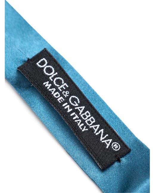 Dolce & Gabbana Blue Papillon for men
