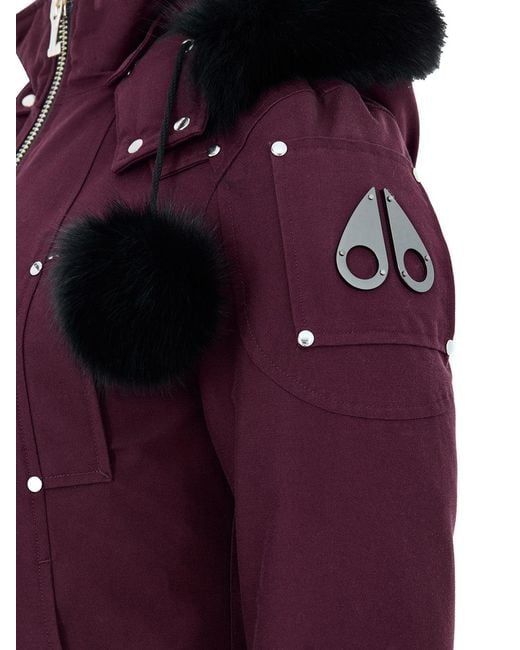 Moose Knuckles Purple Winter Jackets