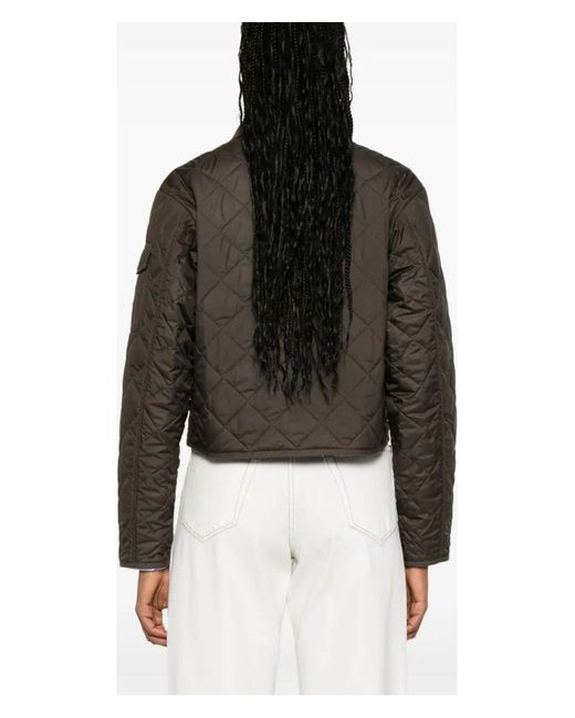 Moncler Brown Chitre Giubboto