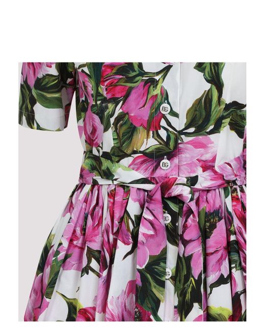 Dolce & Gabbana Purple Peony Print Short Sleeved Cotton Midi Dress