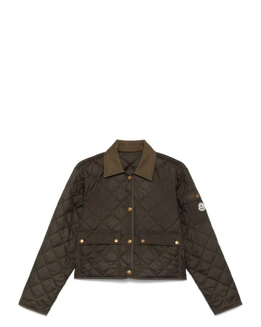 Moncler Brown Chitre Giubboto
