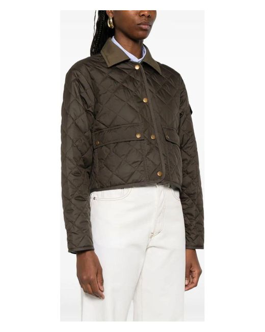 Moncler Brown Chitre Giubboto