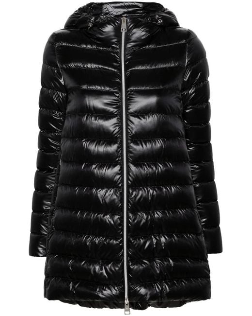Herno Black Coats