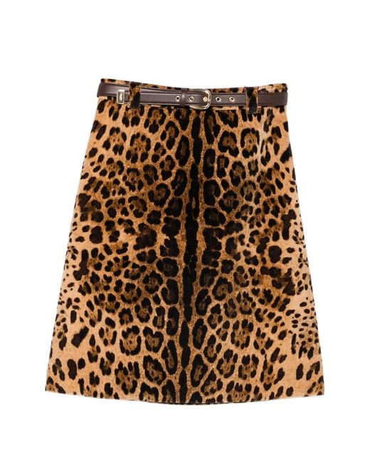 Max Mara Brown Neutrals Skirts