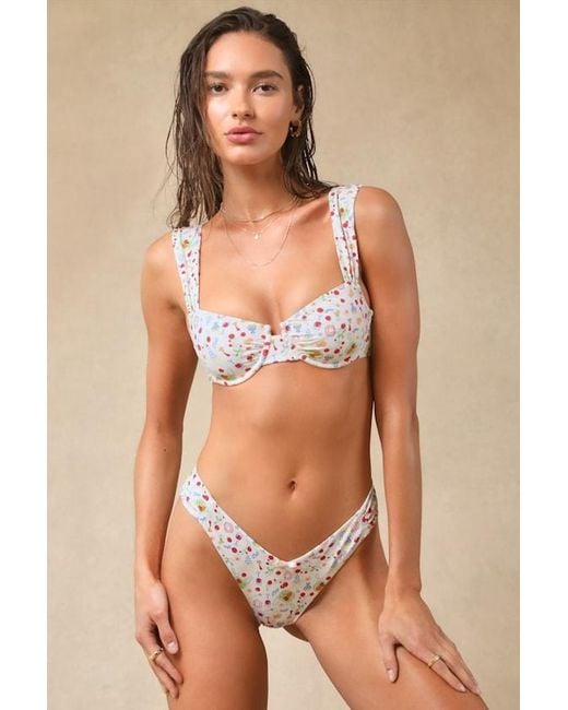 Dippin' Daisy's Brown Siena Ditsy Print Cheeky Bikini Bottoms