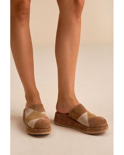 Seychelles Brown Whammy Multi Patchwork Suede Platform Mule Clogs