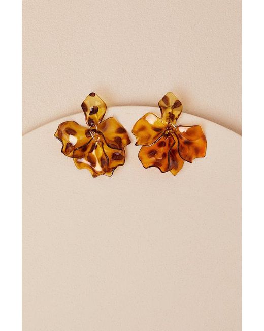 Lulus Brown Mallory Tortoiseshell Statement Earrings