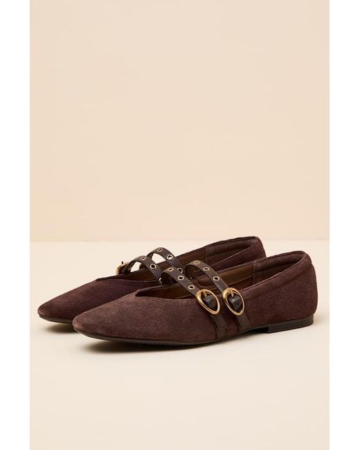 Dolce Vita Brown Ardene Mahogany Suede Leather Buckle Ballet Flats