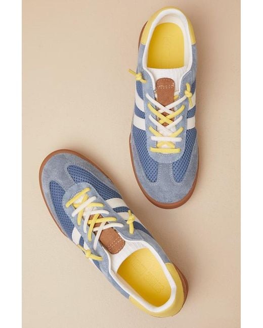 Steve Madden Blue Verdict Multi Suede Leather Lace-Up Sneakers