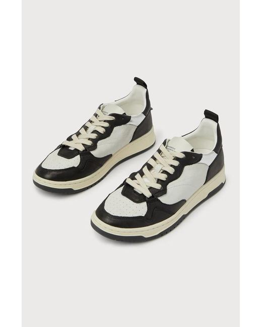 Steve madden color block sneakers on sale