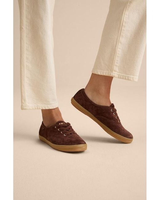 Keds Blue Champion Luxe Chocolate Suede Lace-Up Sneakers