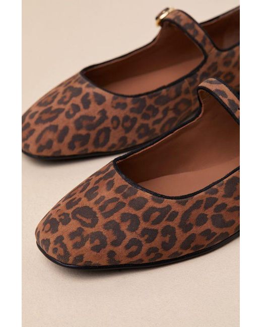 Seychelles Brown Magnolia Leopard Suede Leather Buckle Ballet Flats