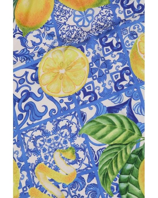 Lulus Blue Elena Lemon Print Satin Scarf