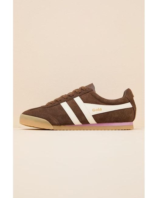Gola Natural Apollo Dark And Off Suede Lace-Up Sneakers