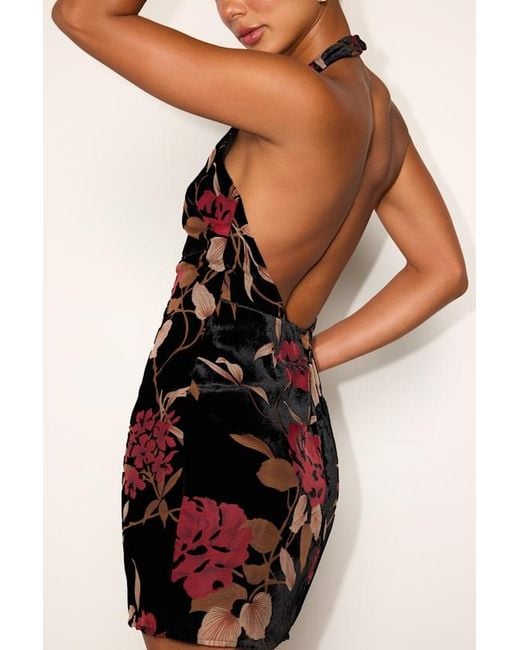 Lulus Black Delizah Floral Burnout Halter Mini Dress