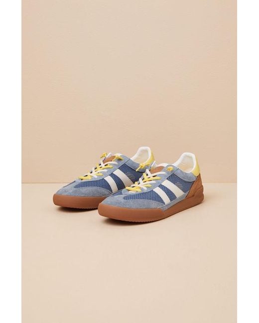 Steve Madden Blue Verdict Multi Suede Leather Lace-Up Sneakers