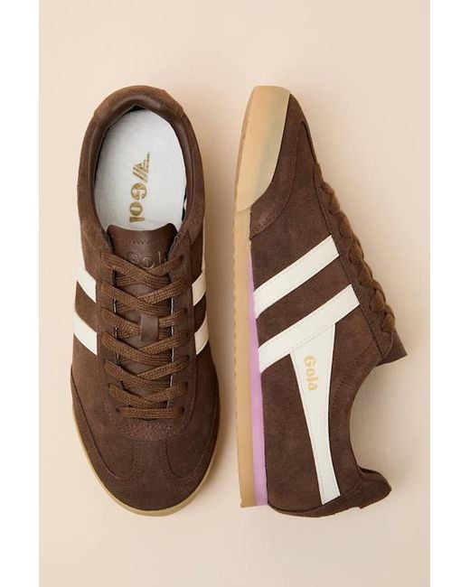 Gola Natural Apollo Dark And Off Suede Lace-Up Sneakers
